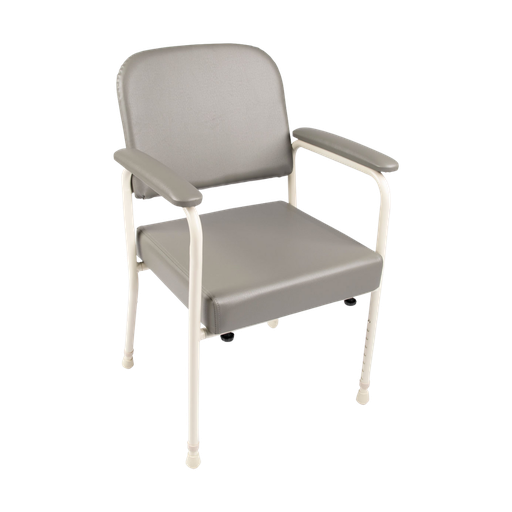 Royale Medical Chair Lowback